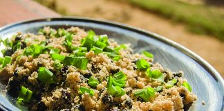 Festival da Içá de Silveiras chega à sétima edição com novidades na estrutura