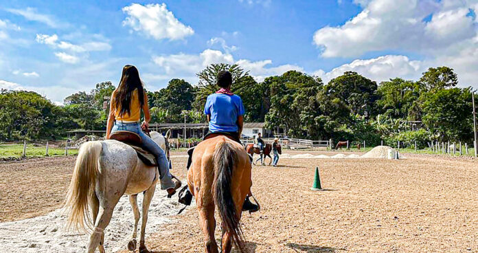 Trabalho de equoterapia está prestes a retornar em Guaratinguetá após paralisação em 2025